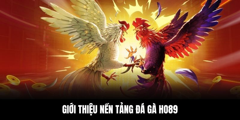 Thông tin tổng quan về nền tảng đá gà Ho88 uy tín
